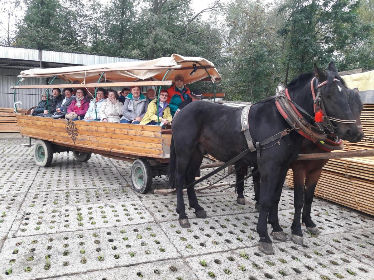 Agroturystyka U Misia Niedźwiedź エクステリア 写真